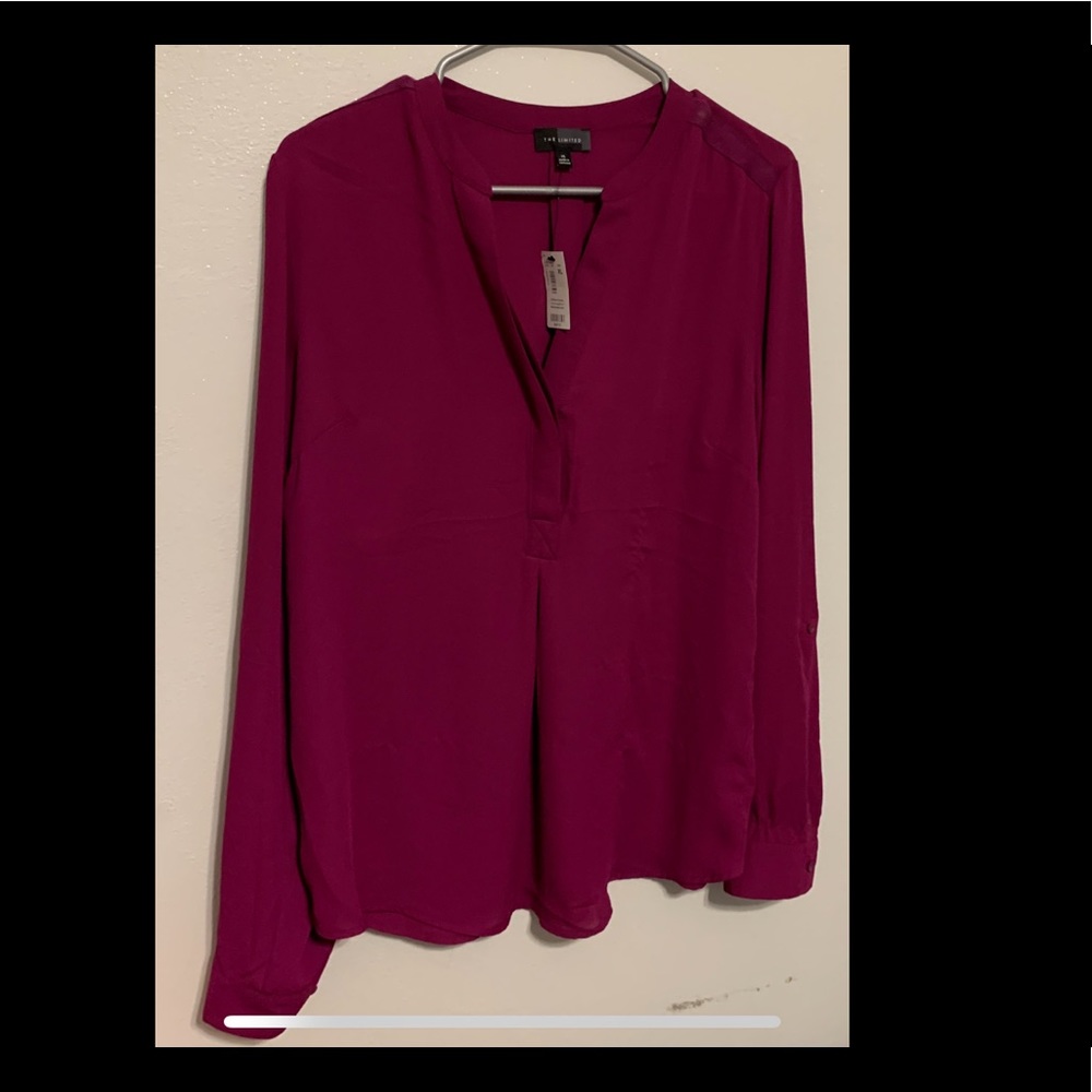 The Limited Top